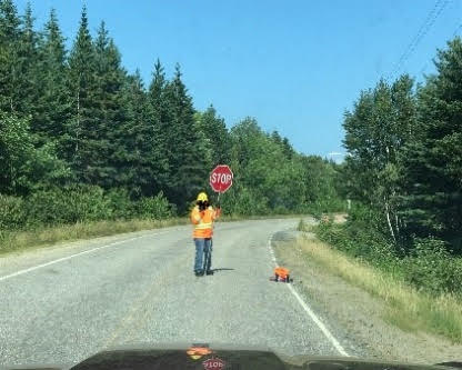 A traffic control person in a safety vest and hard hat holding a stop and slow paddle while standing out in the middle of a travel lane