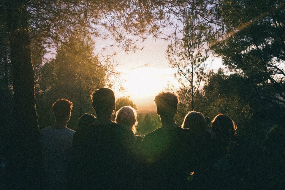 A group of teenagers in a forest looking off into the distance, the glare of the sun shining over them 