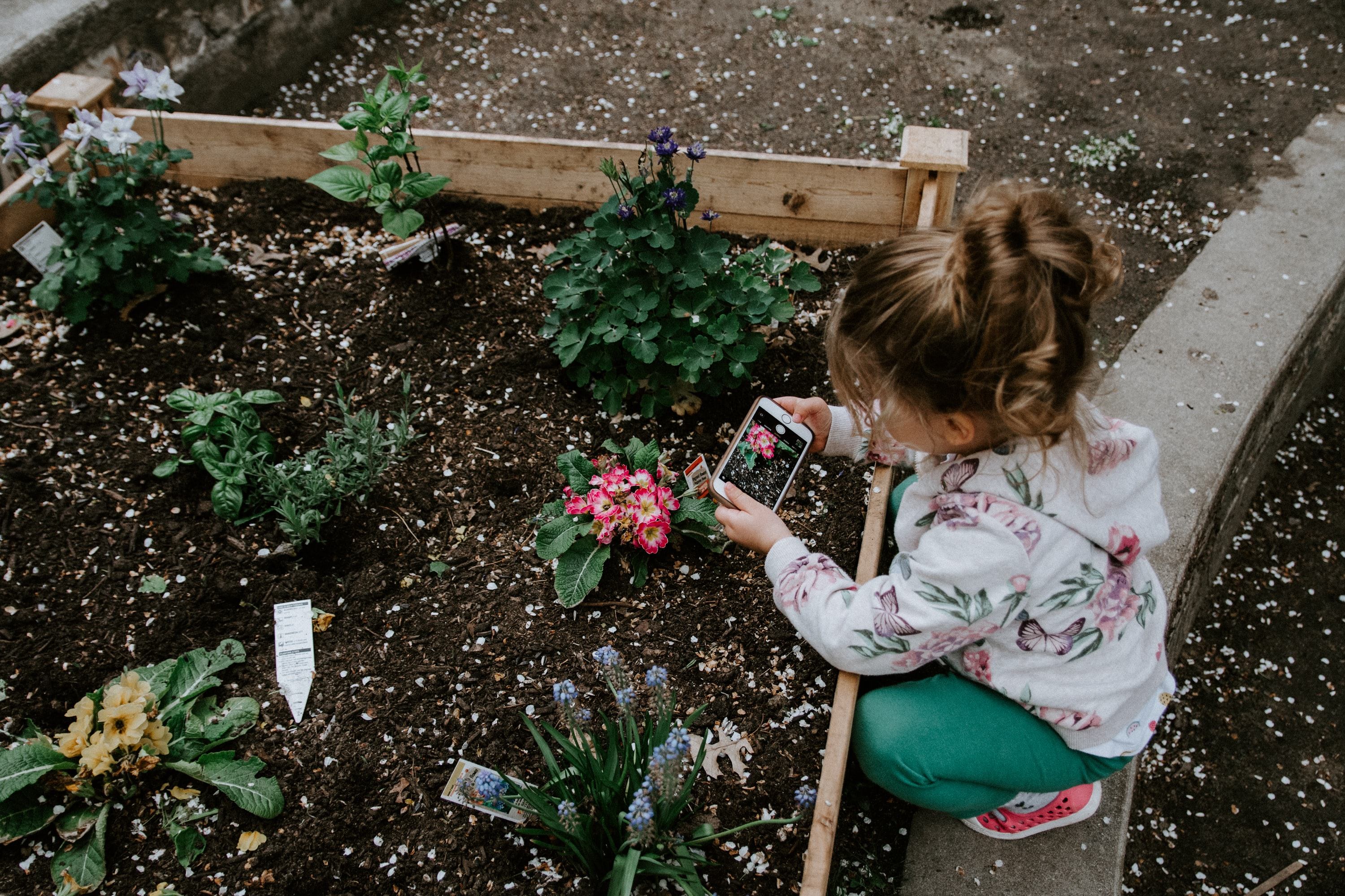 A small girl holding a seed packet, crouching down next to a plant in a raised garden bed